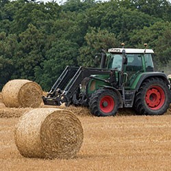 Agriculture